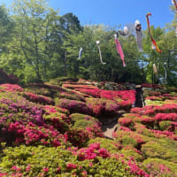 見学に行くなら知識を入れてから