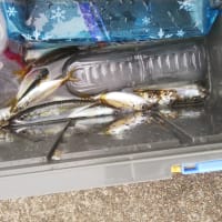 釣り