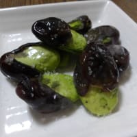 ハウス前を夏花壇に・草取り