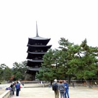 06/18奈良京都への旅-5（興福寺、）