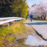 そろりとろり俳句の道～51【春泥】