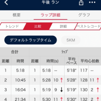 ランニング16km(トータル) 25.4.8