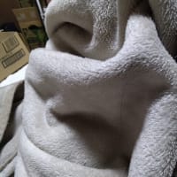 お世話になりました