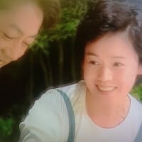 朝ドラ「オードリー」と、良友酒家のジュリーとざこばさん