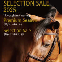 【セレクションセール2025(Selection Sale)】の「上場馬名簿」が発行