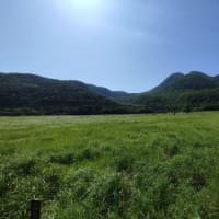 長者原にて