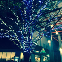 プチイルミネーション