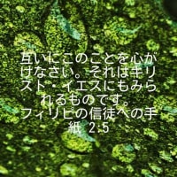 2024年7月26-28日　韓国の信仰の友より