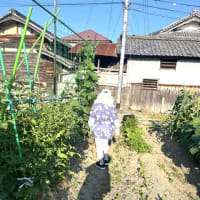 6月30日（月）③