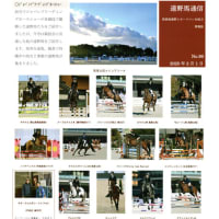 遠野馬通信NO.99