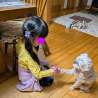 相棒？？？孫と犬