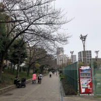 2024年　靭公園　（大阪市西区）