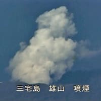 八丈小島もあるく　よみがえれ　三宅島応援ツアー　１回目　羽田空港