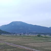 今日の伊吹山(帰路)