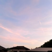 毎日お疲れさん☆