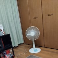 暑い、、