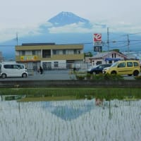 ニコニコ富士山