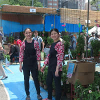 金龍山浅草寺の酸漿市