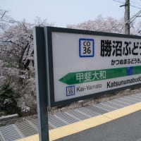 2024/4/6-7　甚六桜と田切駅掃除旅行　前編