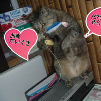 たっち