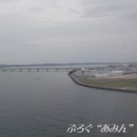 ★FW22 仙台／名古屋・中部　CRJ700 Yクラス【機内食2405】