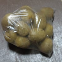 季節の果実　≪　初冬　≫　いただきもの