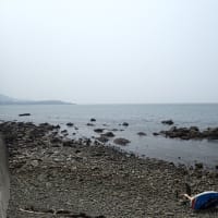 拾いものの風