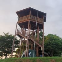 6D contest 2025 finished