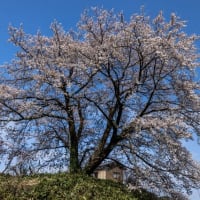 どう考えても解らない