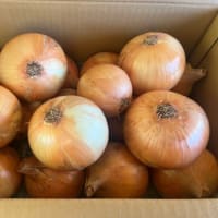 お心遣いをありがとうございます♪