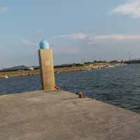 愛知県田原市小中山でヘチ釣り