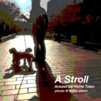 A Stroll Around My Home Town