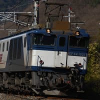 春眠暁を覚えず