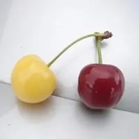 世に出ていない逸品？