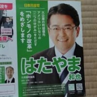参院選全国区比例代表での茨城県候補者は「はたやま和也」氏です