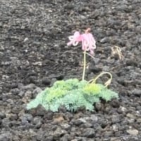 6.28秋駒〜長〜い一日〜