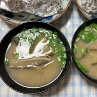 魚がいいね～
