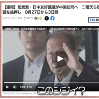【怒】親中を隠している議員の実名晒します！