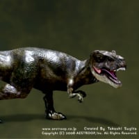 T-Rex （ティラノサウルス） 3