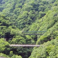箱根：箱根神社と大涌谷