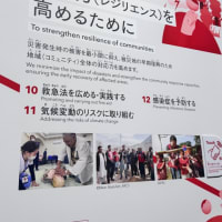❤️④大阪関西万博パトロール❤️ -国際赤十字・赤新月運動-