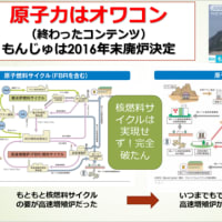 明日に向けて(2513)原発・核燃サイクルの中止を求めて　省庁・全国市民・議員の院内集会に参加してきます(本日11日東京にて)