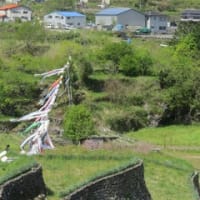 鯉のぼり準備