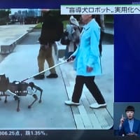 目を見張る中国製のロボット技術製品