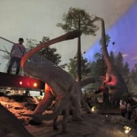 昔のファイルを再録　福井恐竜博物館