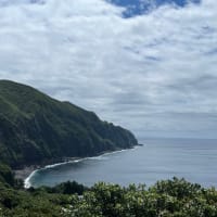 藍ケ江の海。✨⛅️6月1日(土)         青ヶ島がうっすら見えています🏝️