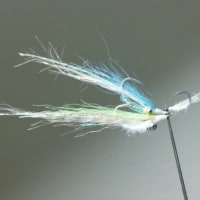 ソルトフライフィッシング入門その4（最終）