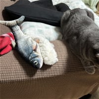 じょゆうだましいｗ