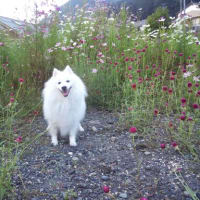孫は早いもので１歳３ヶ月になりました。