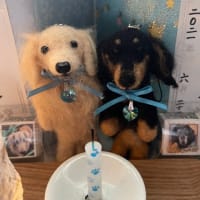 四十九日を終えて…